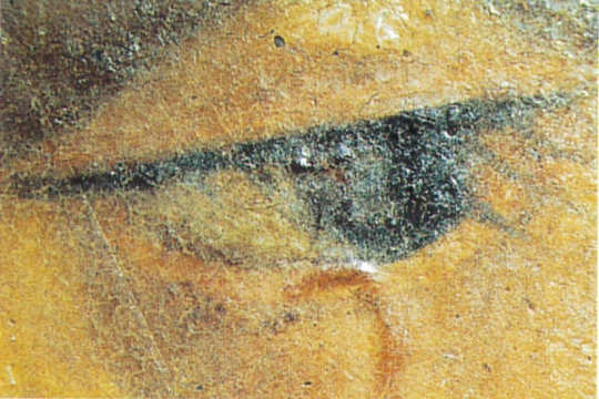 【修復前】表面の実体顕微鏡（手術用）による右目付近の観察細かい亀裂がワニス層にあり、ワニスの溜まりも観察出来る