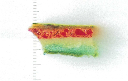 【試料片E】×200地塗り層に緑色が多く浸透した例　赤はバーミリオン