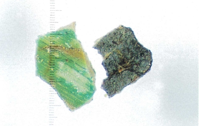 【試料片F】×50表面（右）裏面（左）裏面は緑色透明な部分が多い